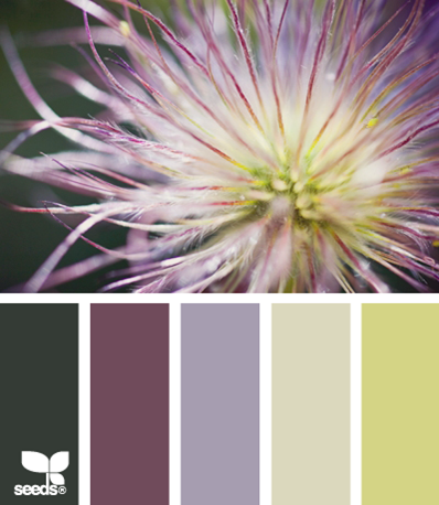 plum and green color scheme